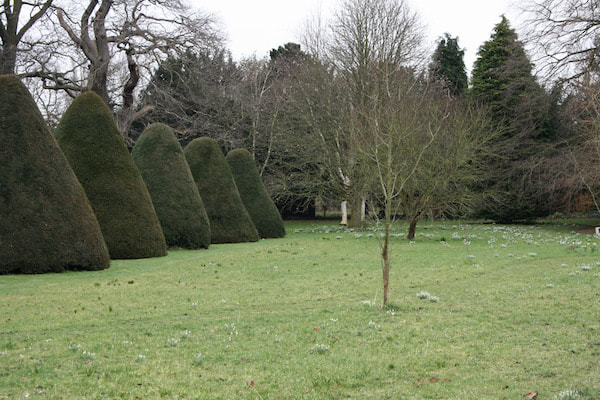 The East Garden with Snowdrops in February